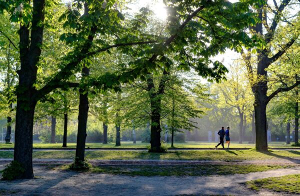 finish a marathon - two male runners easy running in a sunny park