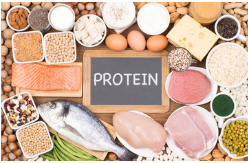 How To Prepare the Best Meals for Runners Protein Ingredients