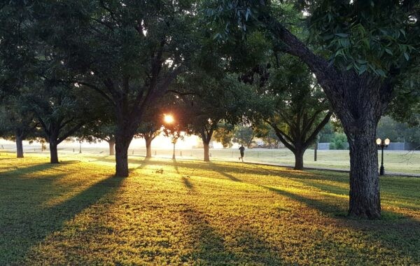 marathon training progress - Running in a beautiful sunrise