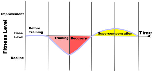 marathon training progress - Supercompensation illustration
