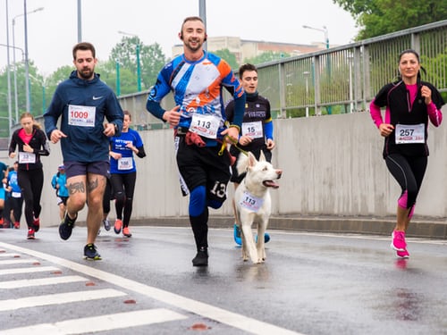 Oxygen Utilization Rate The-Astonishing Marathon Factor - Running Race With Dog