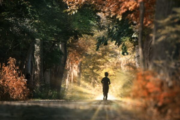 What Are The Benefits Of Running? boy in the forest