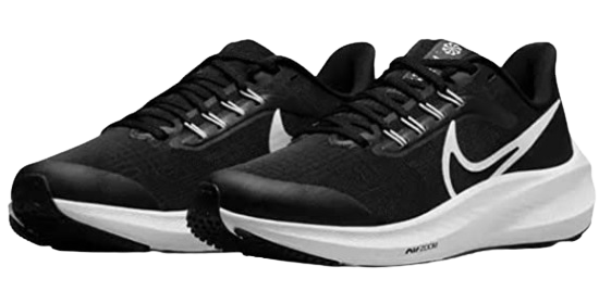 Nike Running Shoes For Women Nike air zoom pegasus 39 Women